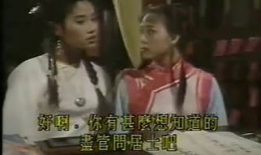 清宫气数录 电视剧,揭秘宫廷秘史，探寻命运轮回