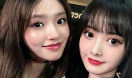 网红与明星行程